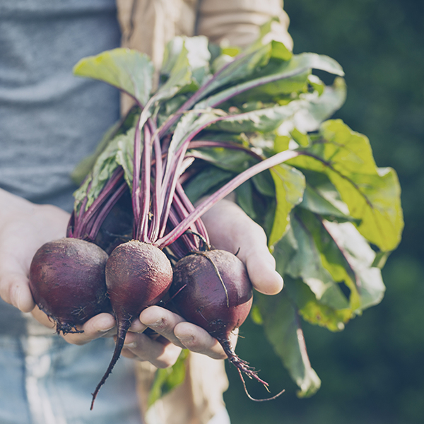 Community Gardening